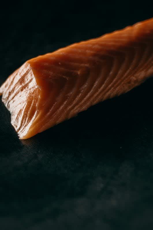 Salmon